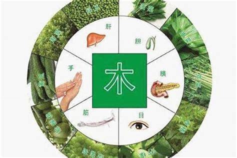 五行屬金缺木|八字命理:五行缺木怎麼辦！看看你的該怎麼化解？